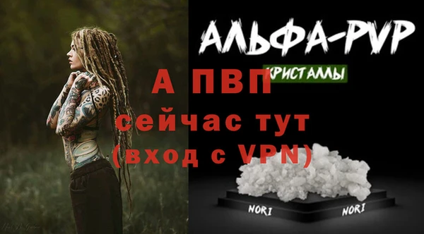 apvp Горно-Алтайск