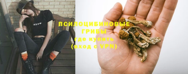 дурь Вязьма