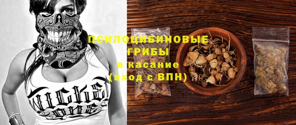 таблы Вяземский