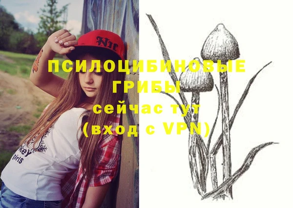 apvp Горно-Алтайск