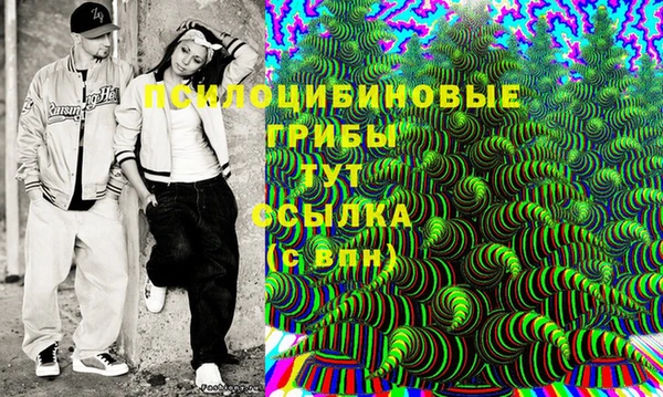 твердый Горнозаводск