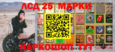 гашик Бийск