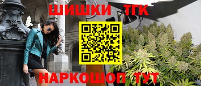 гашик Бийск