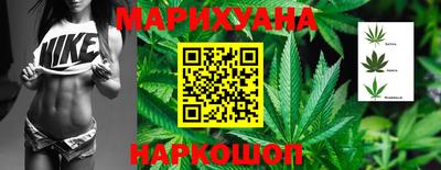 шишки Гатчина