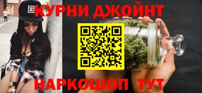 шишки Гатчина
