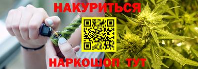 шишки Гатчина