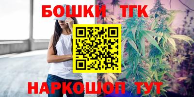 гашик Бийск