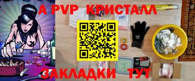 шишки Гатчина