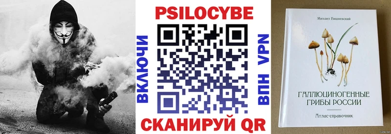 Псилоцибиновые грибы Magic Shrooms  darknet Telegram  Елец 