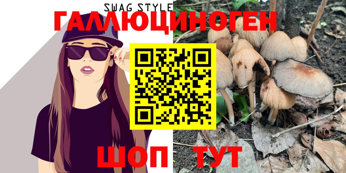 Галлюциногенные грибы Psilocybe  Елец 